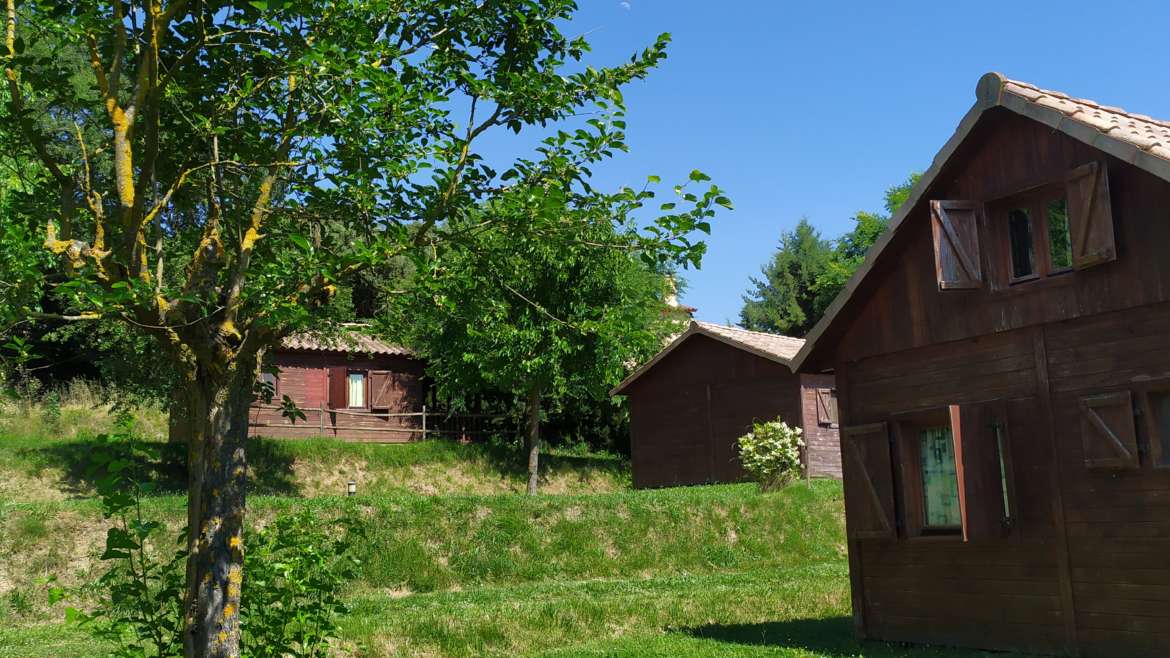 TECNO-camp: formación intensiva en el campo